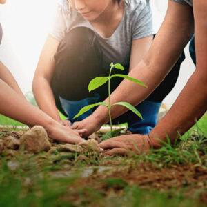 Menschen helfen beim Pflanzen von Bäumen in der Natur, um die Erde zu retten