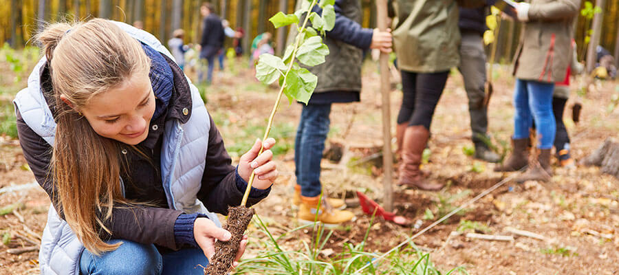 Fille avec un semis d'arbre pour le changement climatique