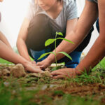 people helping planting tree in nature for save earth